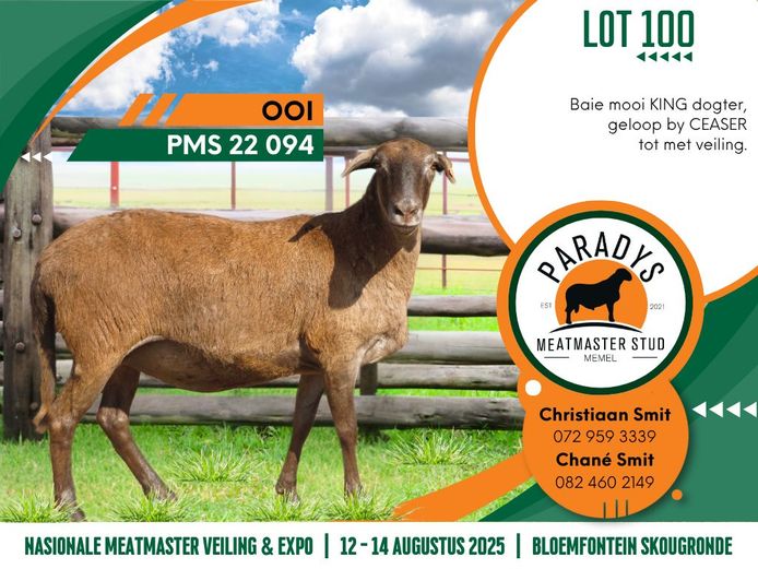 PMS 220094 | PARADYS MEATMASTER STOET