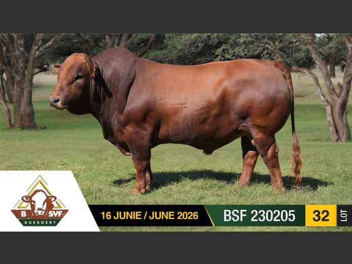 BSF230205 | BSYF BOERDERY