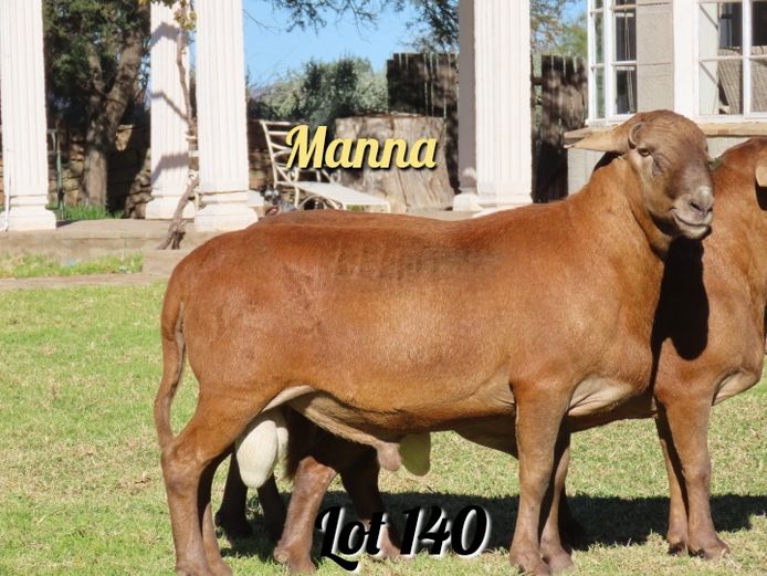 490 | Manna