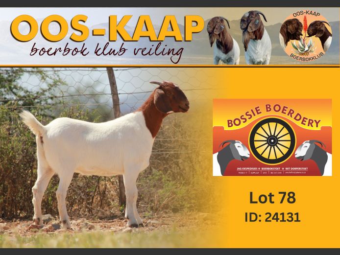 24-131 | Bossie Boerdery