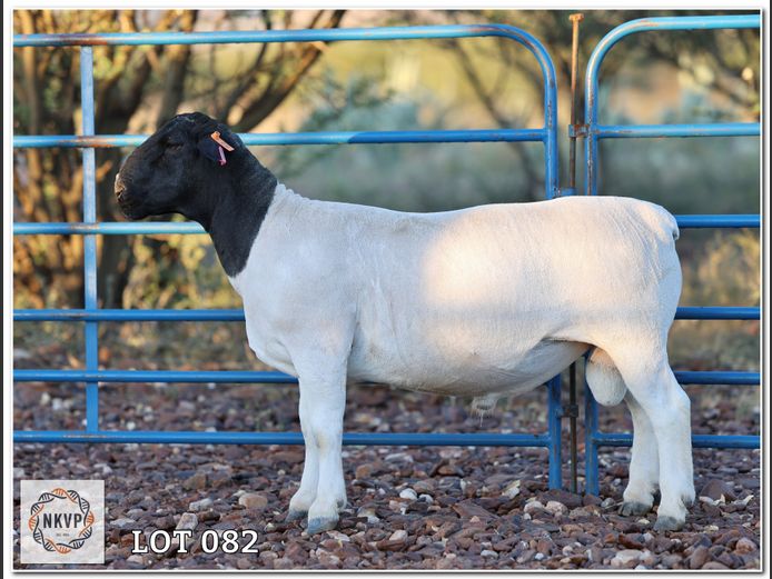 1643 24 0448 | C.C. VAN DEVENTER