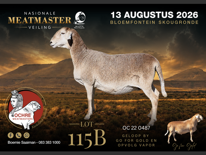 OC 22 0487 | Ochre Meatmasters