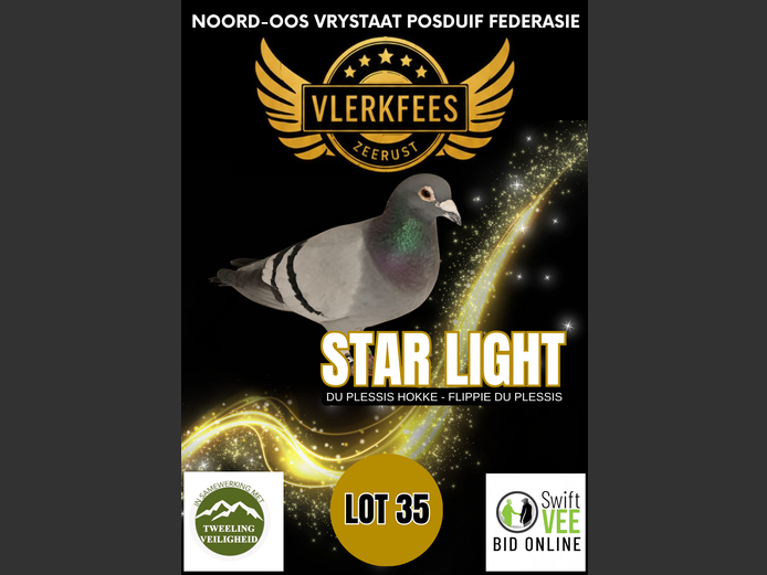 STAR LIGHT | DU PLESSIS HOKKE - FLIPPIE DU PLESSIS