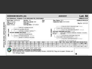genetic_data