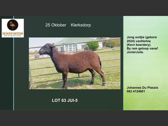 JUI-4 | Zevenfontein Meatmasters