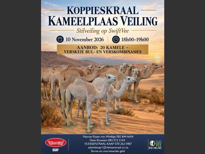 KOPPIESKRAAL KAMEELPLAAS VEILING