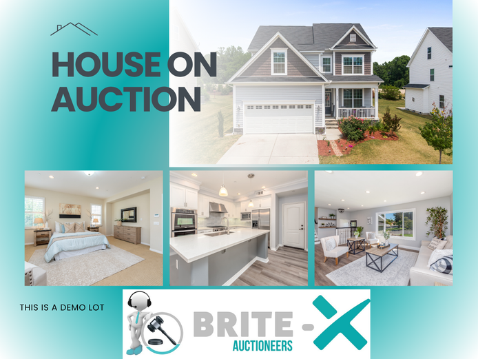 🏡 Lot 1: DEMO Property Listing — Test Auction