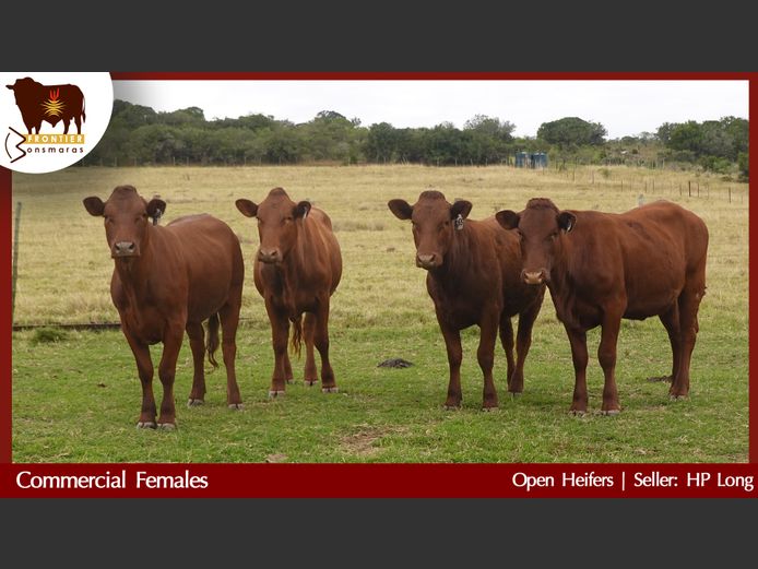 Commercial Animals | H P Long