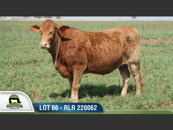RLR 220062 | RHENOSTERVALLEI