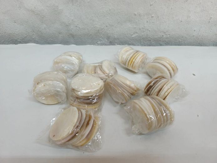Bulk Lot of Natural Mother of Pearl Oval Shell Pendant Discs
