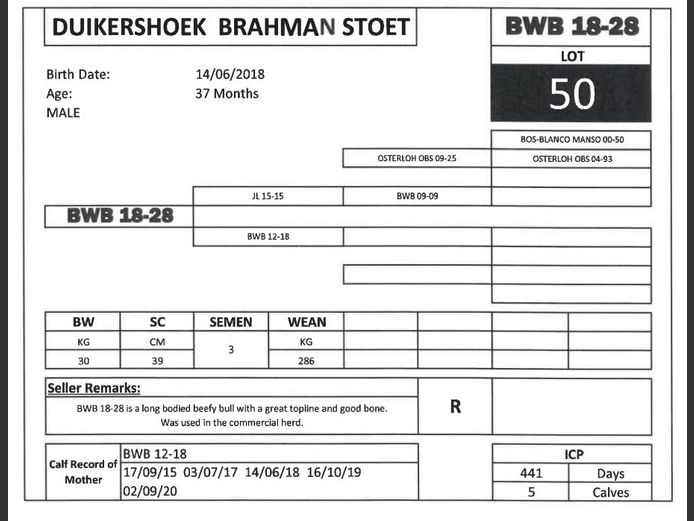 BWB 18-28