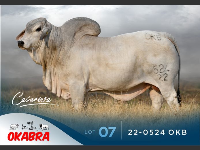 22-0524 OKB