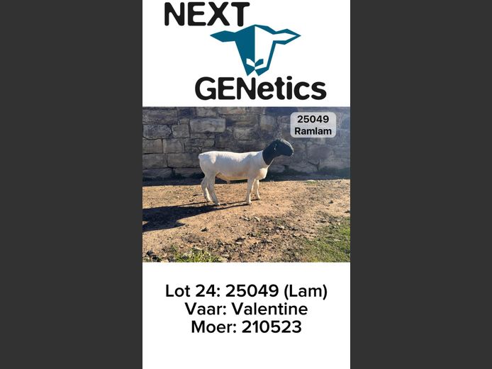 25049 | NEXT GENETICS