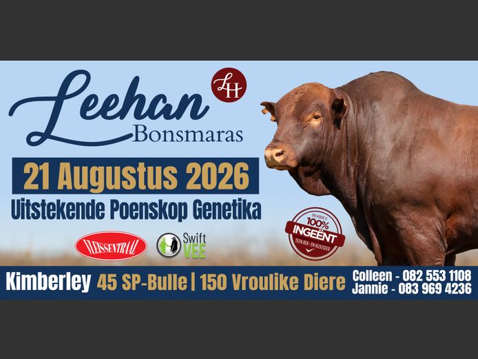 LEEHAN BONSMARAS VEILING