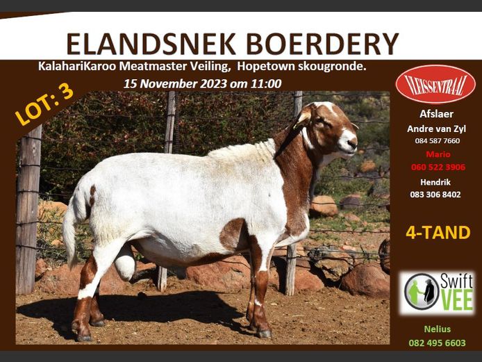 RSL GR169 | ELANDSNEK BOERDERY