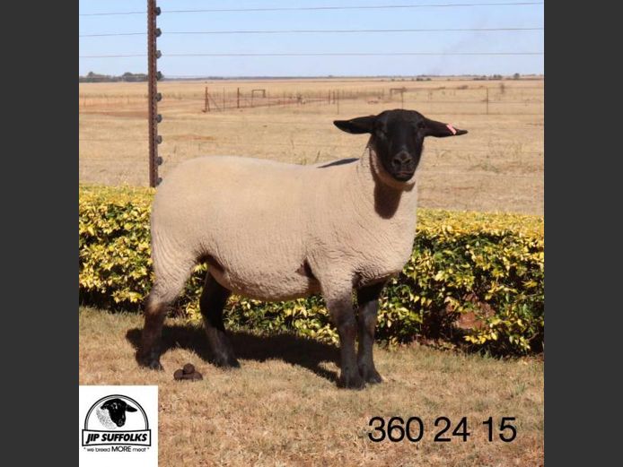 360240015 | J.I. POTGIETER