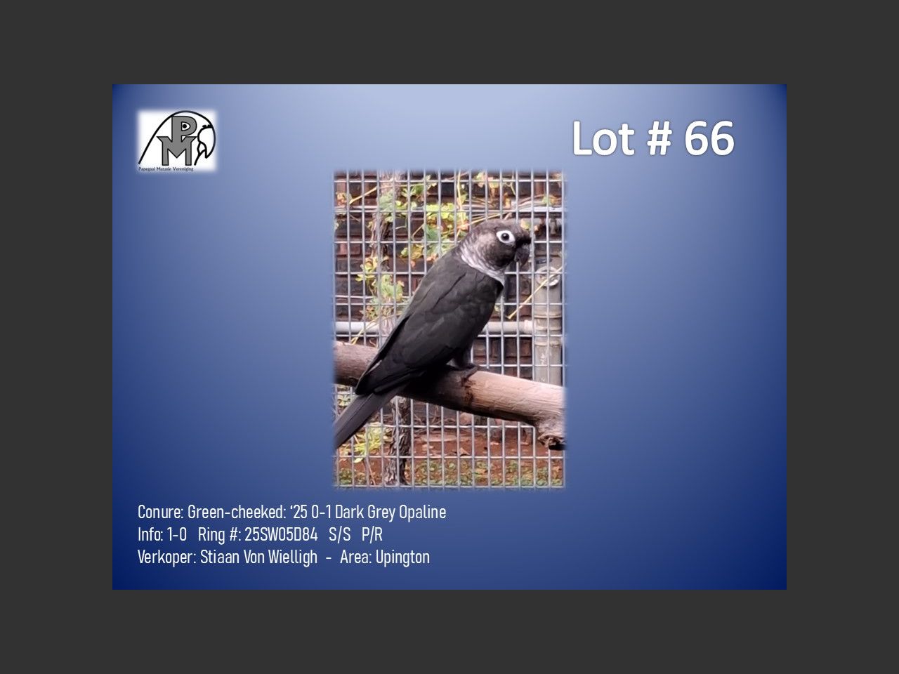 images