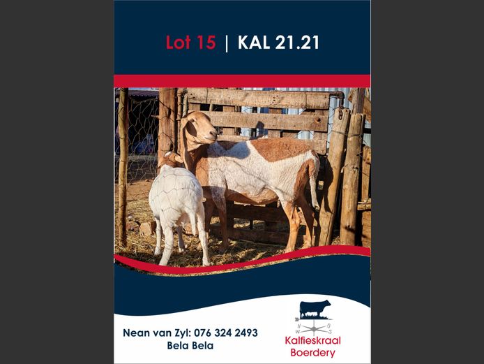 21-21 | KALFIESKRAAL BOERDERY