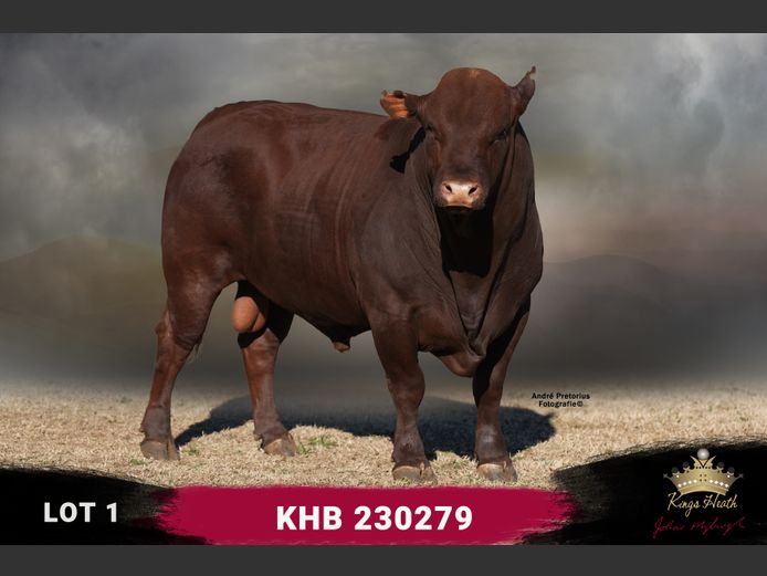 KHB 230279