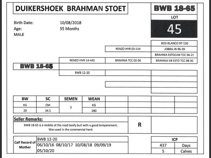 BWB 18-65