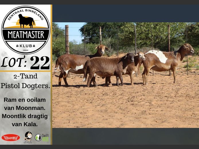 Ooie | Vrede Meatmasters