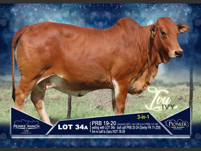 PRB 190020 | PEINKE RANCH