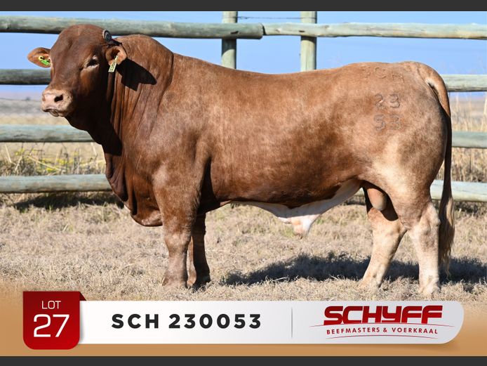 SCH 230053