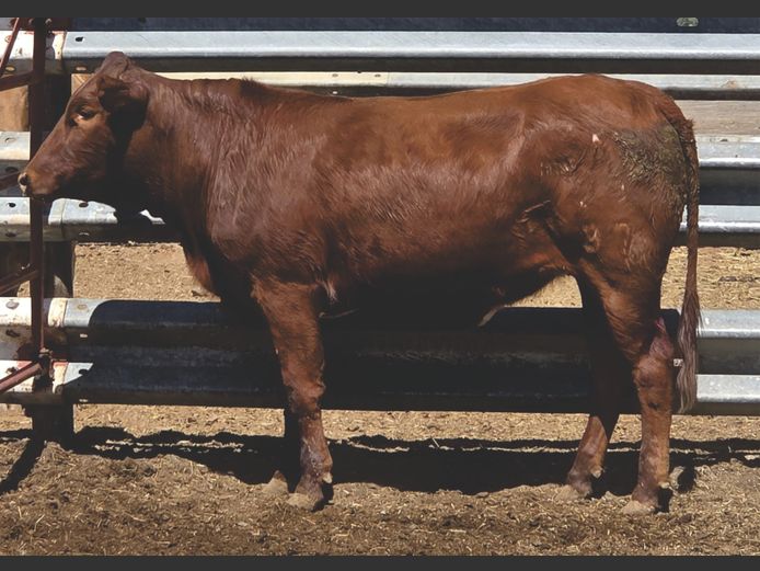 DKH 230087 | DONKERHOEK BOERDERY TRUST