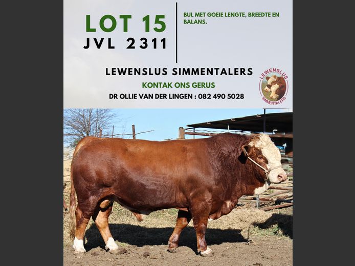 JVL2311 | DR JSH VAN DER LINGEN