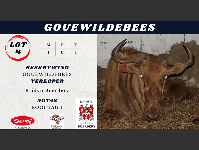 GOUE WILDEBEES