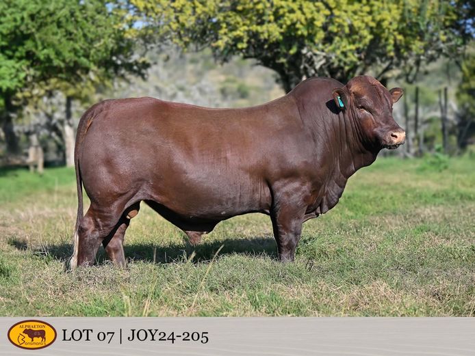 JOY240205 | FETTING LIVESTOCK TRUST