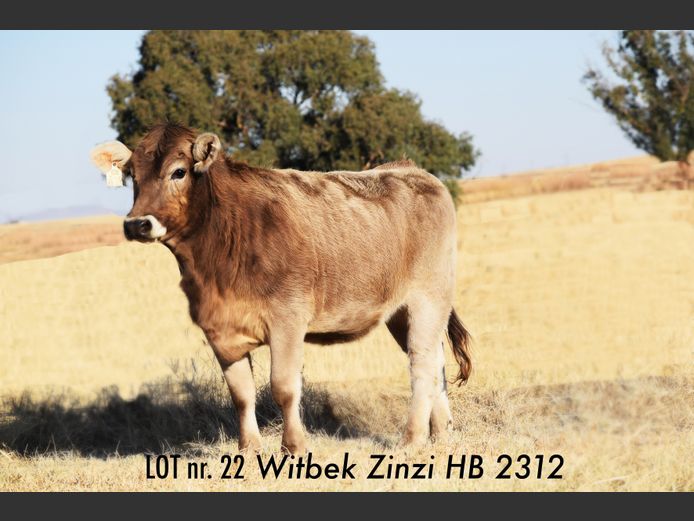HB 230012 | JJ BESTER EN DOGTERS
