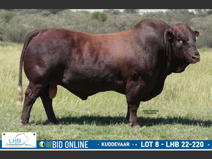 LHB 220220 | LEEUHEUWEL BOERDERY (EDMS) BPK