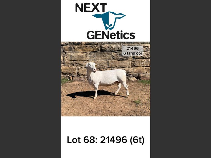 21496 | NEXT GENETICS