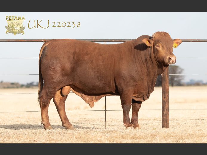 UKJ 220238