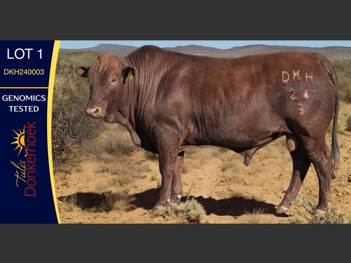 DKH240003 | DONKERHOEK BOERDERY TRUST