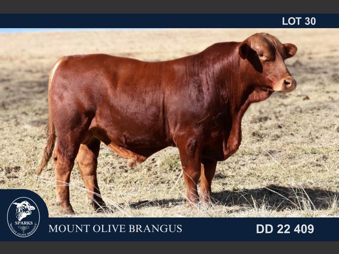 DD22409 | SPARKS CDH