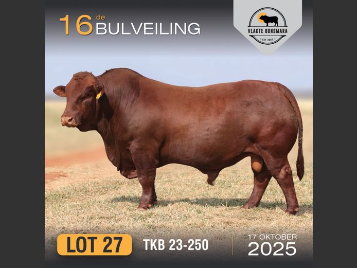 TKB 230250 | TIAN KRUGER BOERDERY PTY LTD