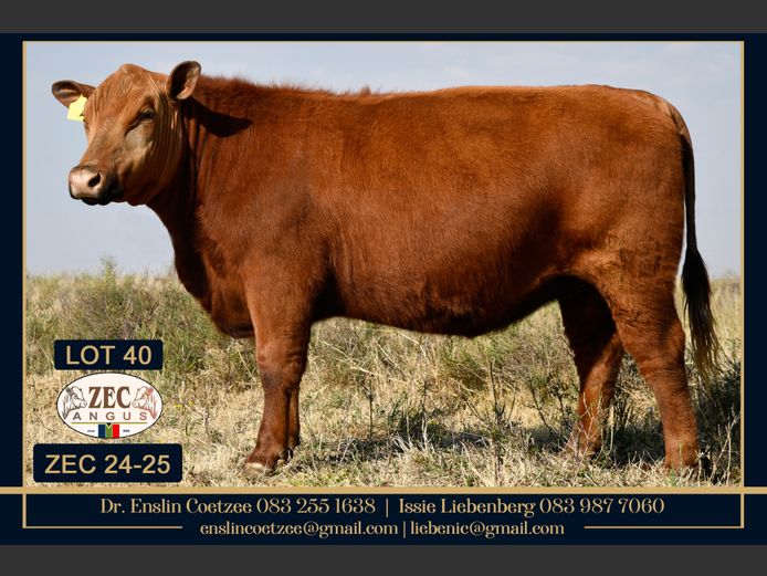 ZEC240025 | Z.E. COETZEE
