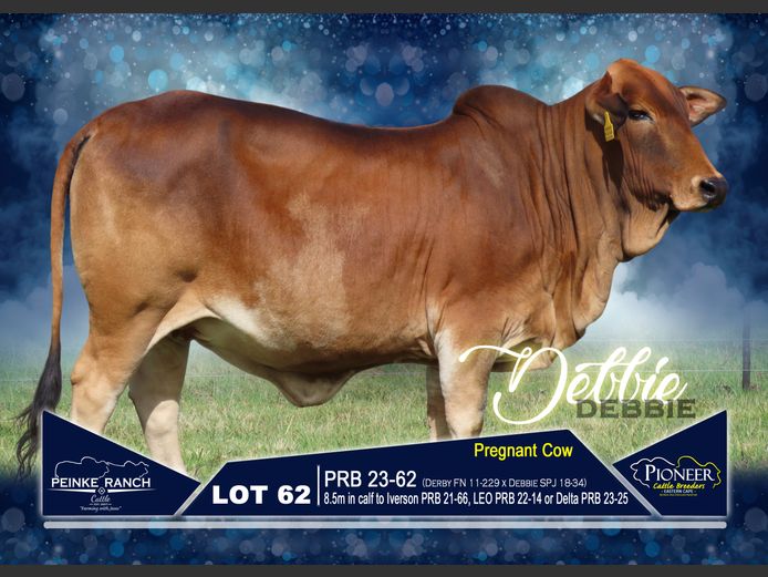 PRB 230062 | PEINKE RANCH