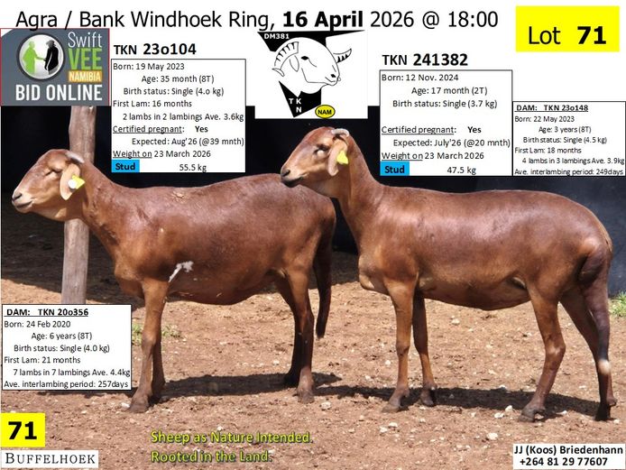 230104TKN | 241382TKN | KOOS BRIEDENHANN