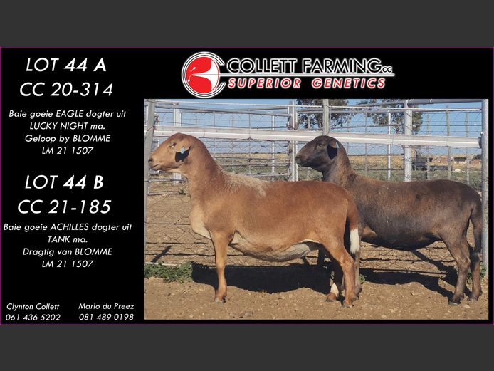 CC 200314 | COLLETT FARMING CC