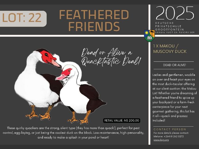 FEATHERED FRIENDS | 1 X MAKOU /
MUSCOVY DUCK