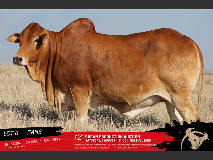 BH 230296 | HURWITZ FARMING