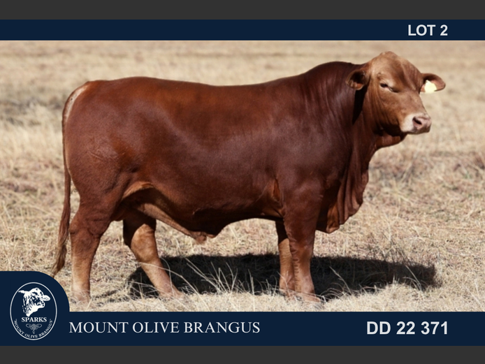 DD22371 | SPARKS CDH