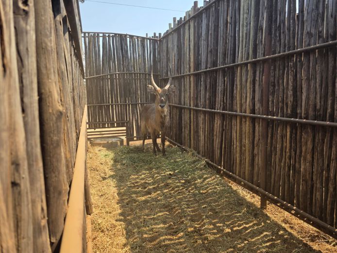 WATERBOK | HANLEY