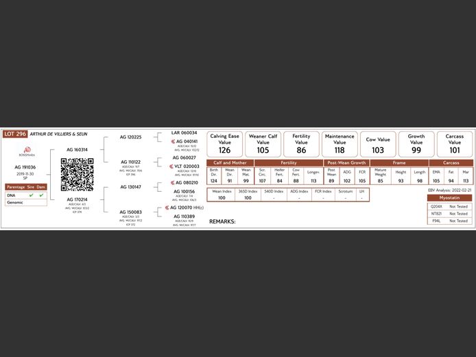 AG19-1036 #NV