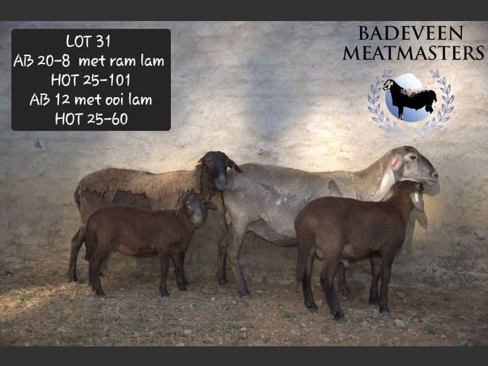 AB 20-8 | Badeveen Meatmasters