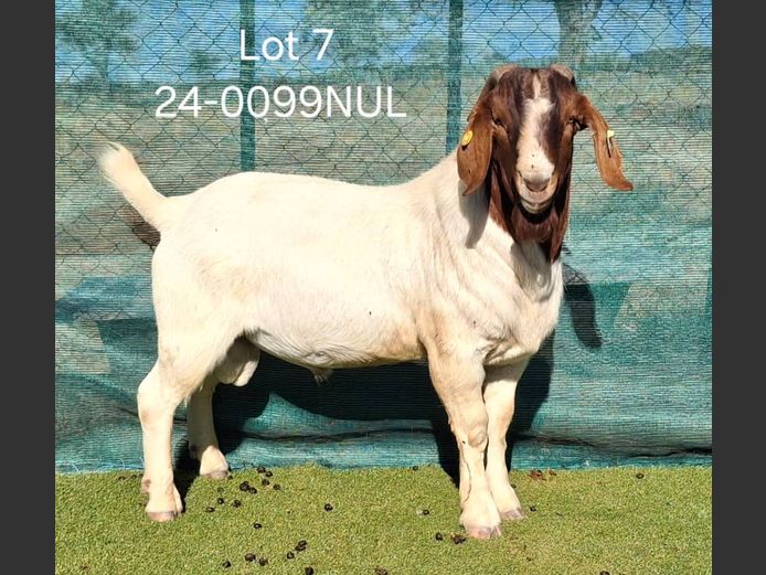 24-0099NUL | NICOLE ULRICH & EGBERT HOFF