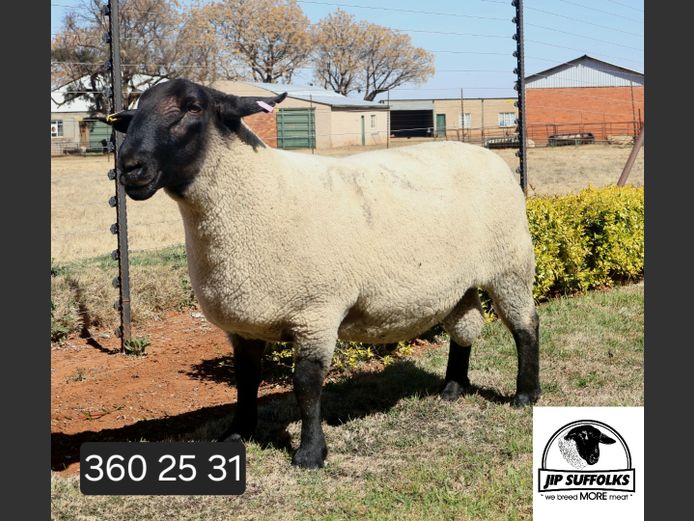 360250031 | J.I. POTGIETER